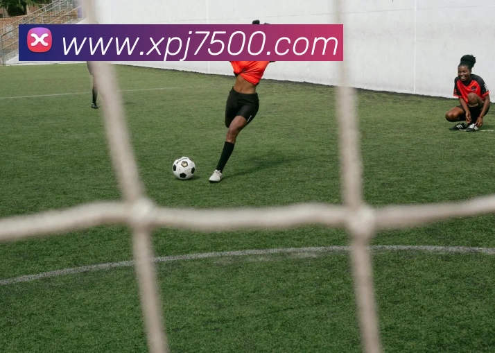 新葡京娱乐服务体系